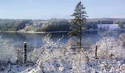 Grane Langs�