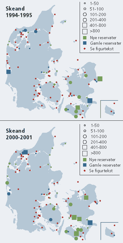 Danmarks-kort, der illustrerer fuglenes respons p� etableringen af de nye reservater