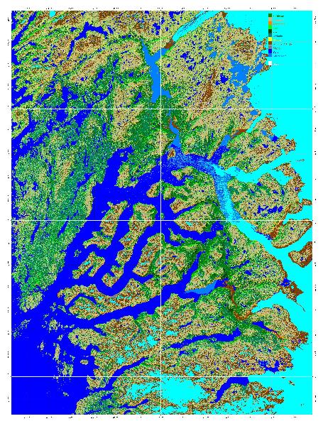 Oversigt over Nuuk vegetationsklassifikation. 