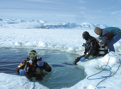 Foto: DMU/Jens W. Hansen